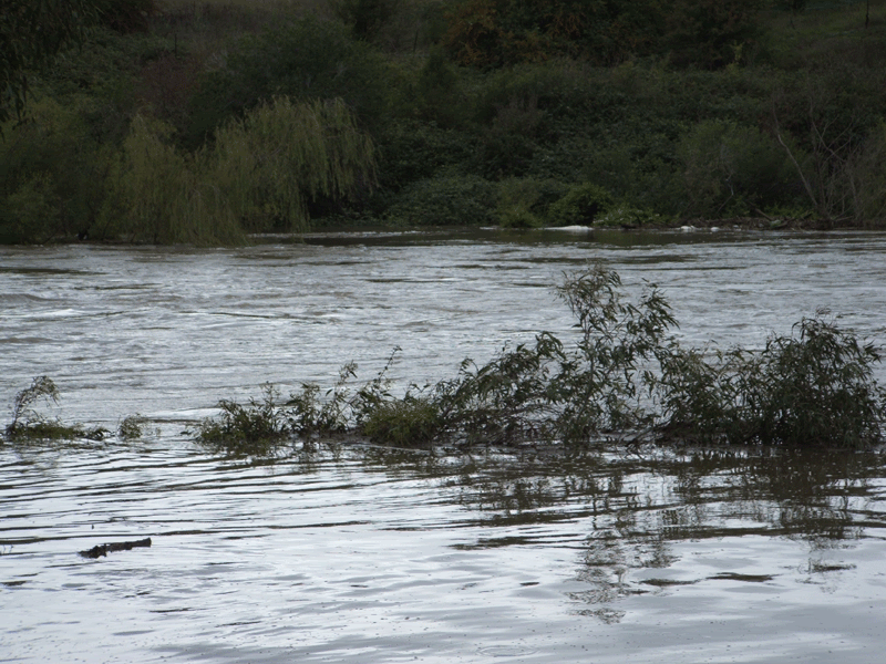 [Image: 2012-flood-013.gif]
