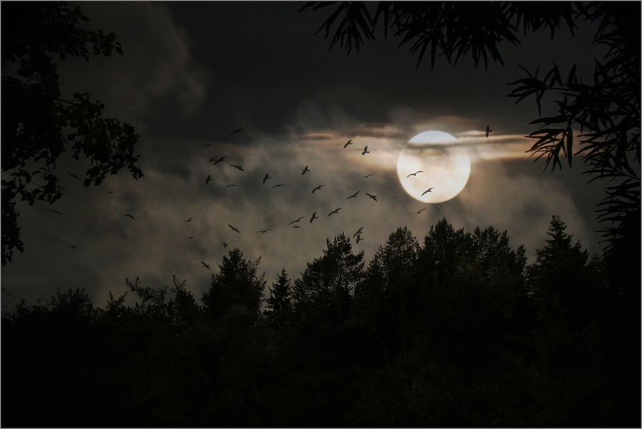 [Image: 900x601_648_Nature_Anxiety_night_moon_la...4f97f9.jpg]