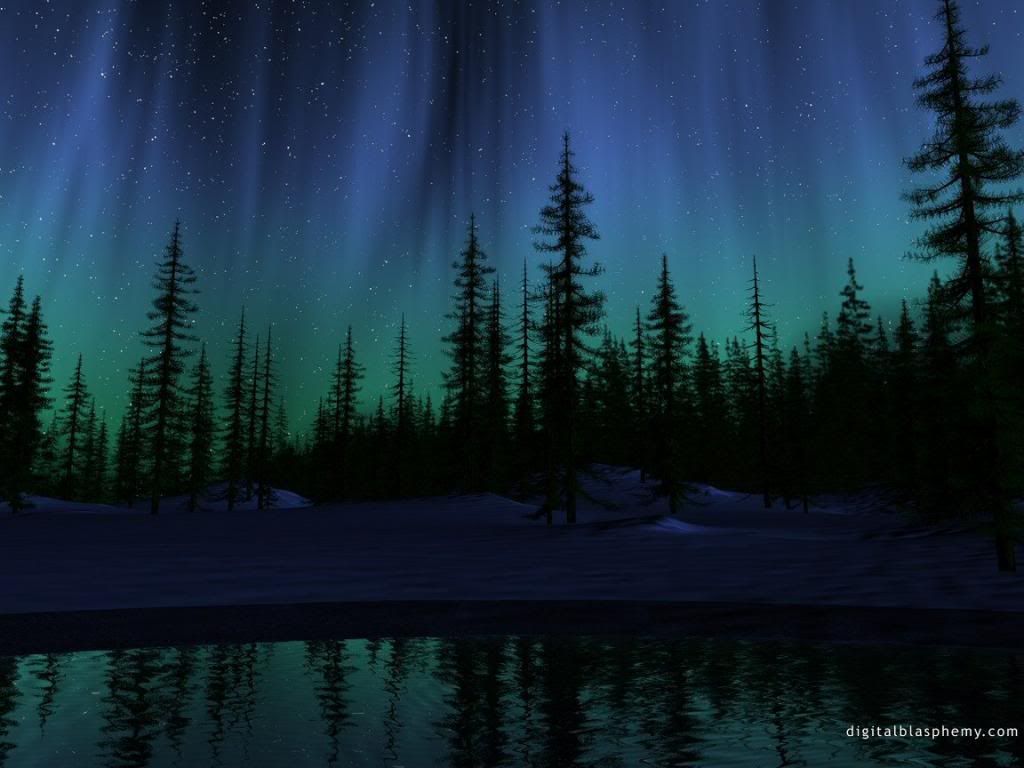 [Image: forest-at-night-aurora-borealis_zps098a6cb1.jpg]