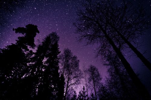 [Image: nature-night-night-sky-photography-purpl...3c63d0.jpg]