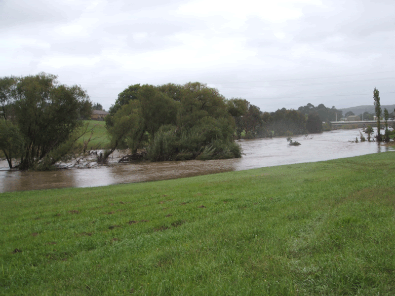 [Image: river-going-down-030.gif]