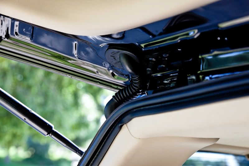 path49.jpg
