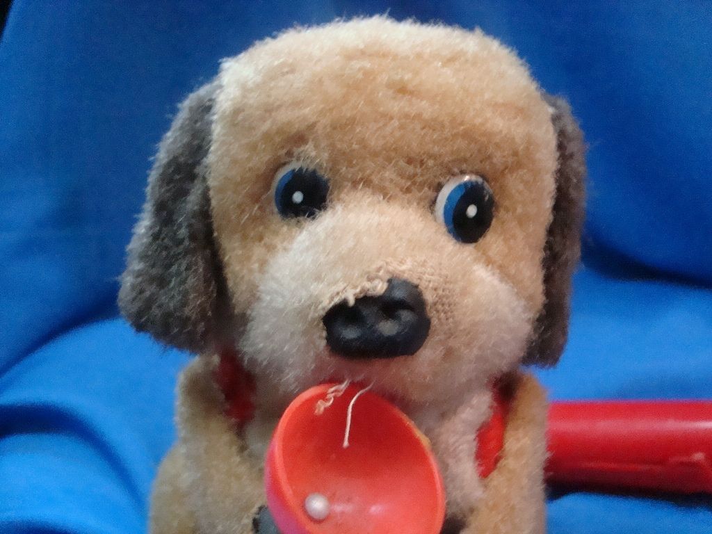 dog remote toy