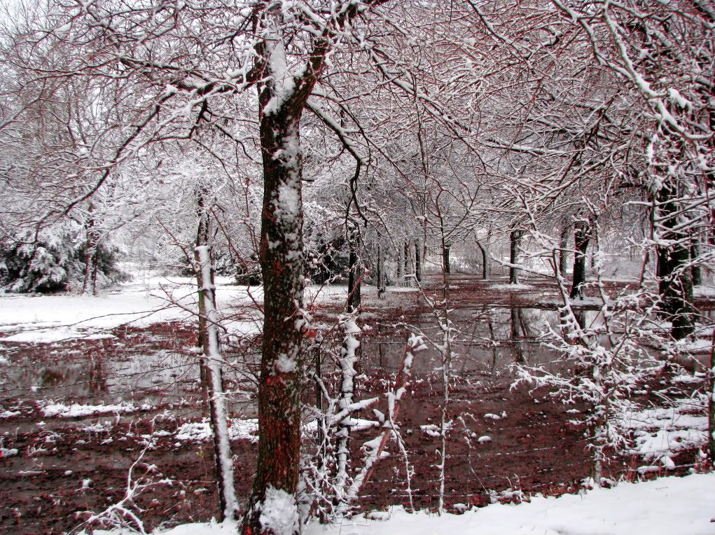 IMAGE: http://i1203.photobucket.com/albums/bb386/PinkLemonLady/IMG_3934.jpg