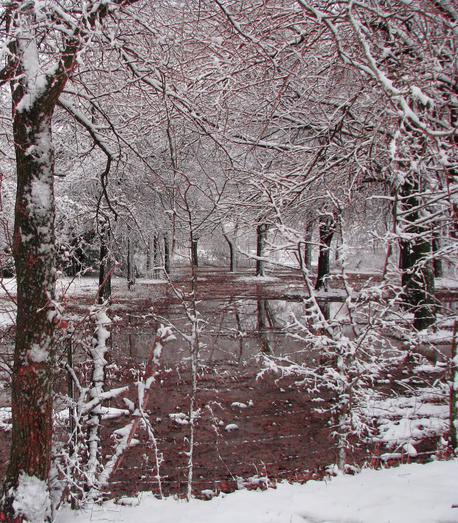 IMAGE: http://i1203.photobucket.com/albums/bb386/PinkLemonLady/IMG_3934copy.jpg