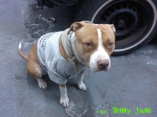 hennyjane2012.jpg