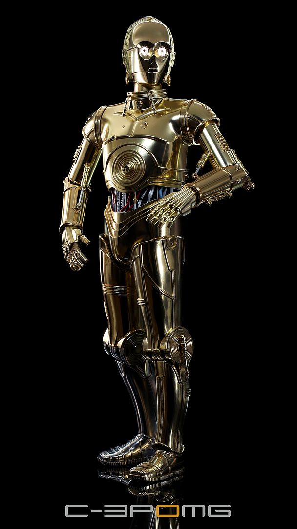 C-3PO1011-1_zpsfceb2028.jpg