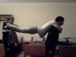 thefu.gif