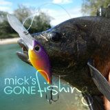 Mick's Gone Fishing