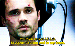 coulson photo: I'm loyal to S.H.I.E.L.D. To Agent Coulson and to my team. tumblr_n4go1wFMwG1qb9jcko8_250_zps966c149b.gif