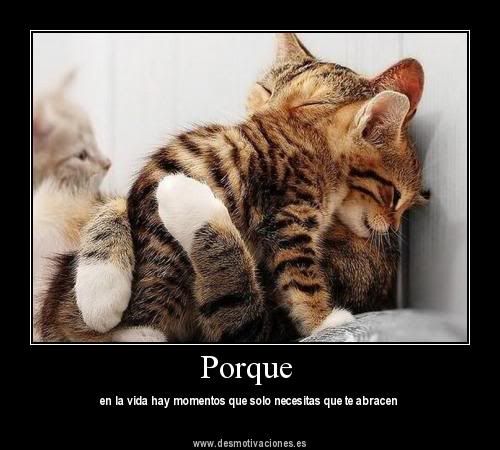 imagenes motivadoras, desmotivadoras. imagenes motivadoras, desmotivadoras.