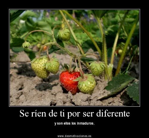 etc etc
