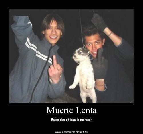 motivadoras motivadoras