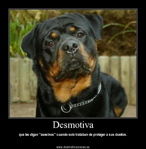 desmotivadoras desmotivadoras