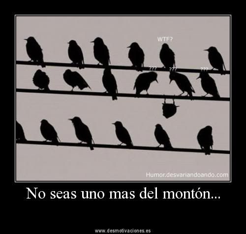 imagenes imagenes
