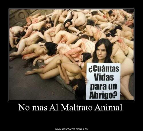 motivadoras motivadoras
