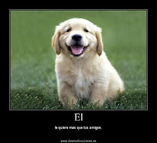 imagenes imagenes