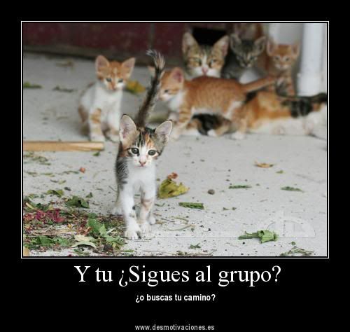 etc etc