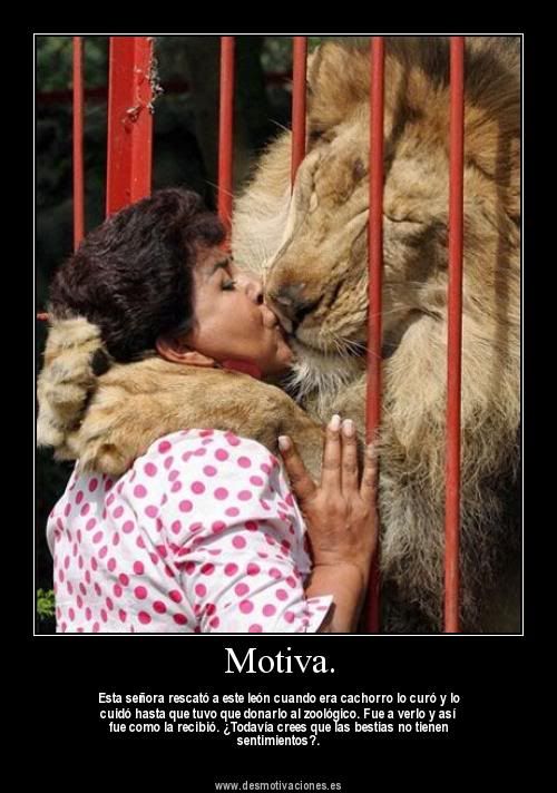 imagenes imagenes