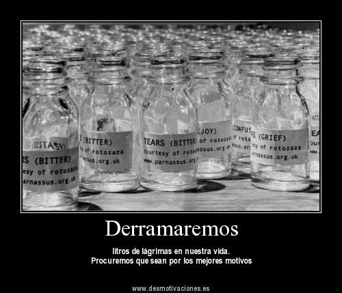 imagenes imagenes