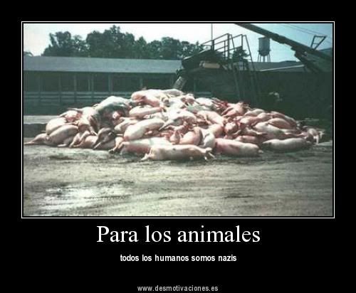 desmotivadoras desmotivadoras