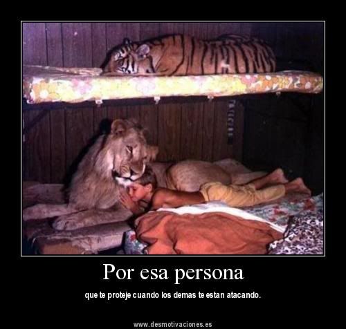 desmotivadoras desmotivadoras