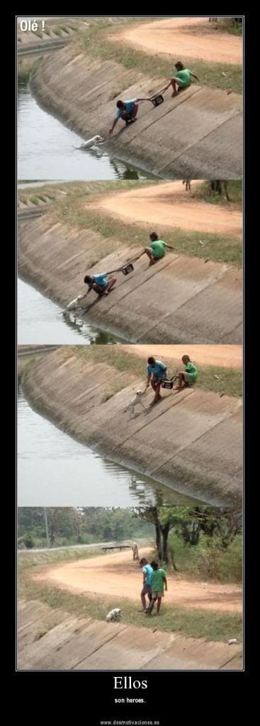 motivadoras motivadoras