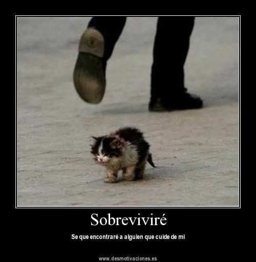 imagenes motivadoras, desmotivadoras. imagenes motivadoras, desmotivadoras.