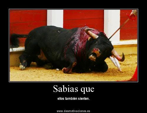 motivadoras motivadoras