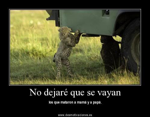 imagenes imagenes