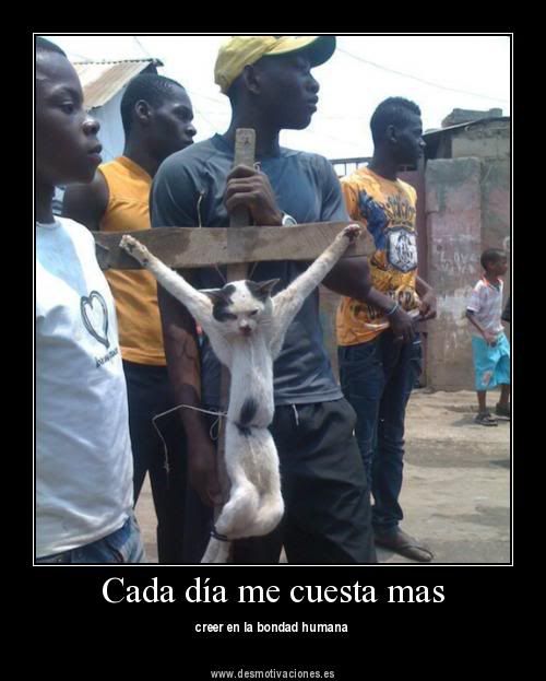 motivadoras motivadoras