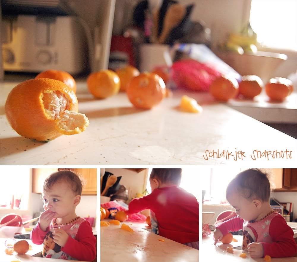 oranges.jpg 