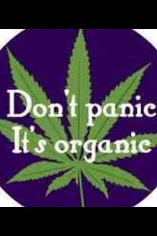 420 matchmaking Cannabis dating site, 420 friendly dating, stoner dating sign into your account create new account remember me your privacy is important to us and we will never rent or sell your. 420 matchmaking Cannabis dating site, 420 friendly dating, stoner dating sign into your account create new account remember me your privacy is important to us and we will never rent or sell your.