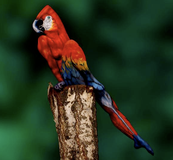 Click image to see full size (opens in this window) İmage