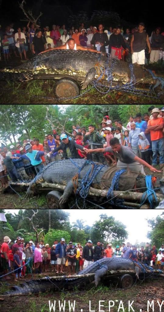 Buaya Gergasi Filipina