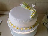 th_MumsCake10April11004.jpg?t=1302469534