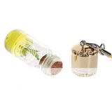 Lot of 2 Live Bamboo Plants on Keychain Cute Lucky Bracelet or Key 