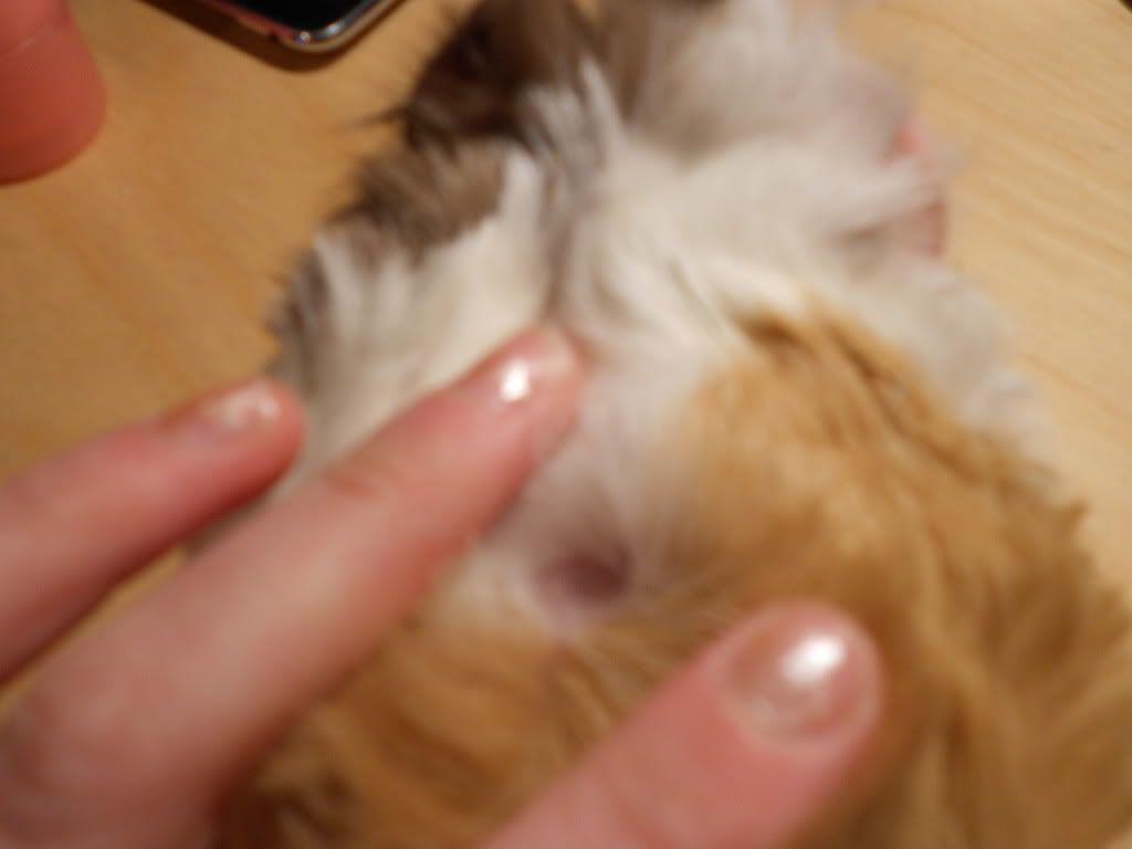 DSCN0464.jpg