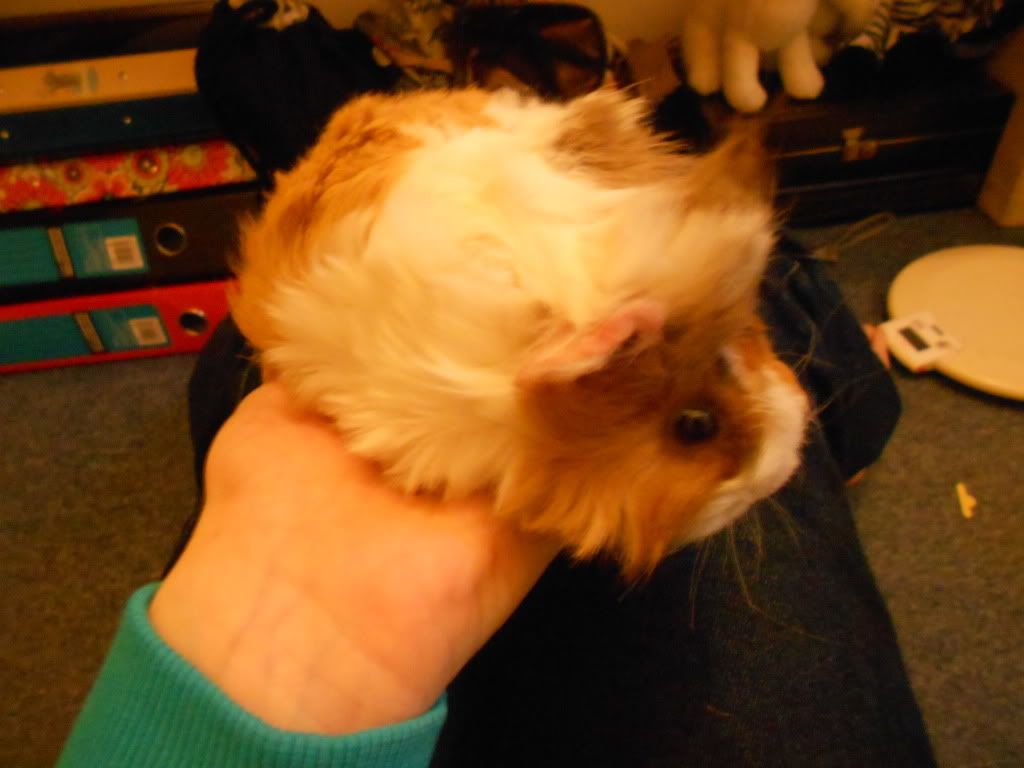 DSCN0486.jpg