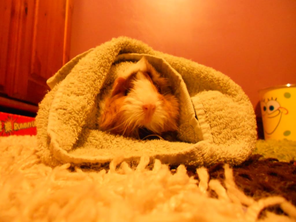 DSCN0513.jpg