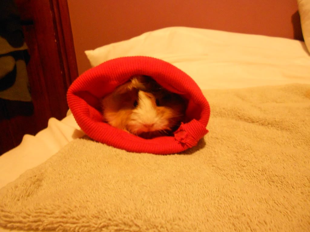 DSCN0521.jpg