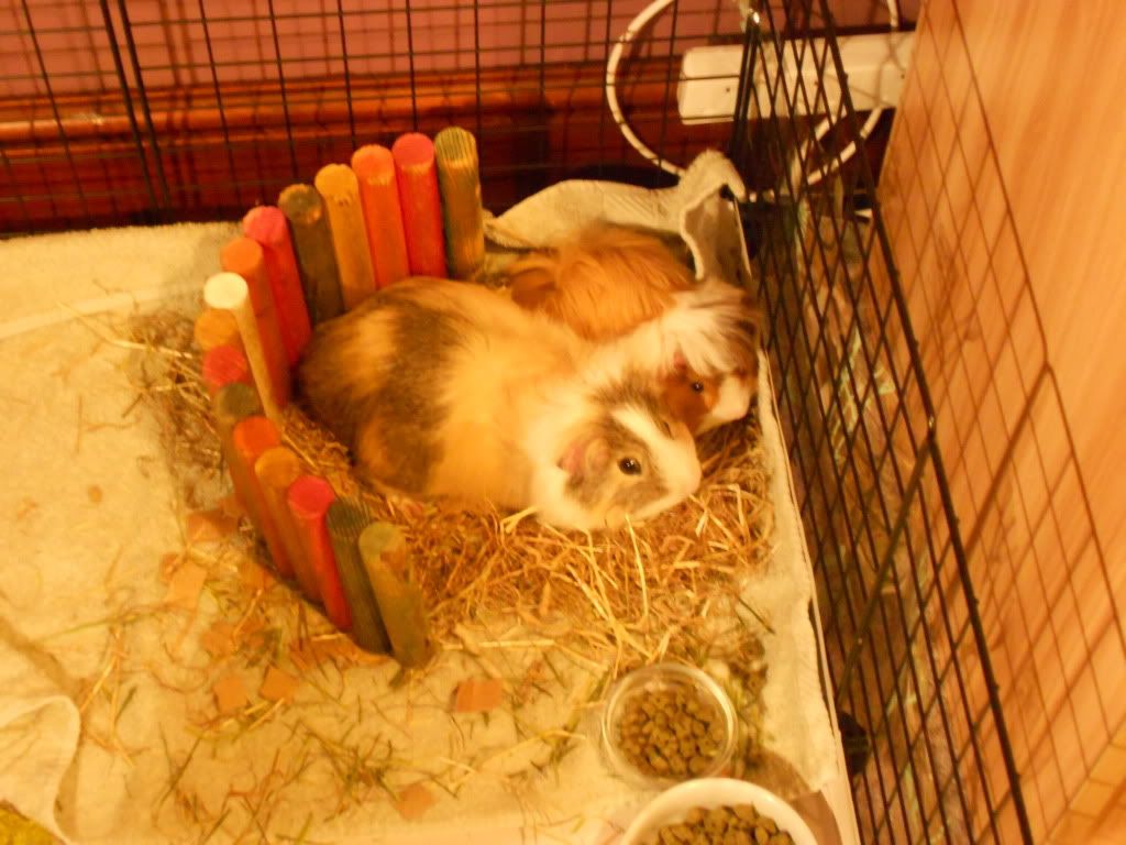 DSCN0531.jpg