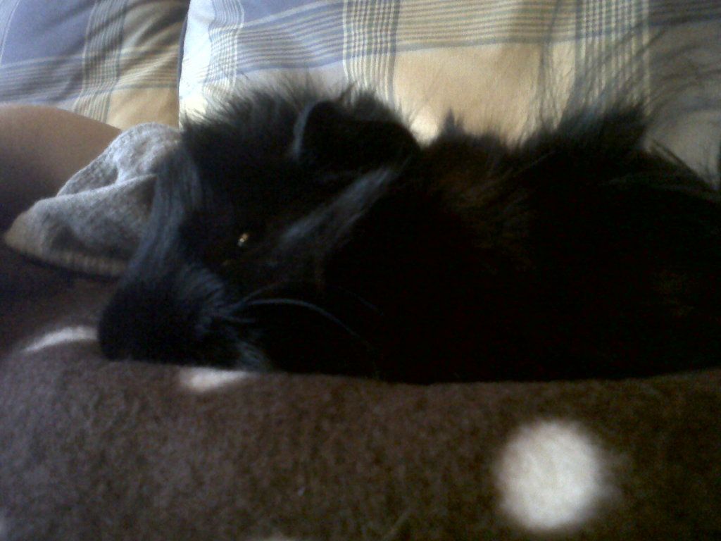 IMG00112-20120707-2037.jpg