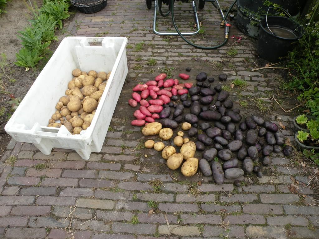 10juli2011001.jpg
