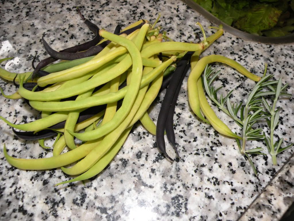 10juli2011020.jpg