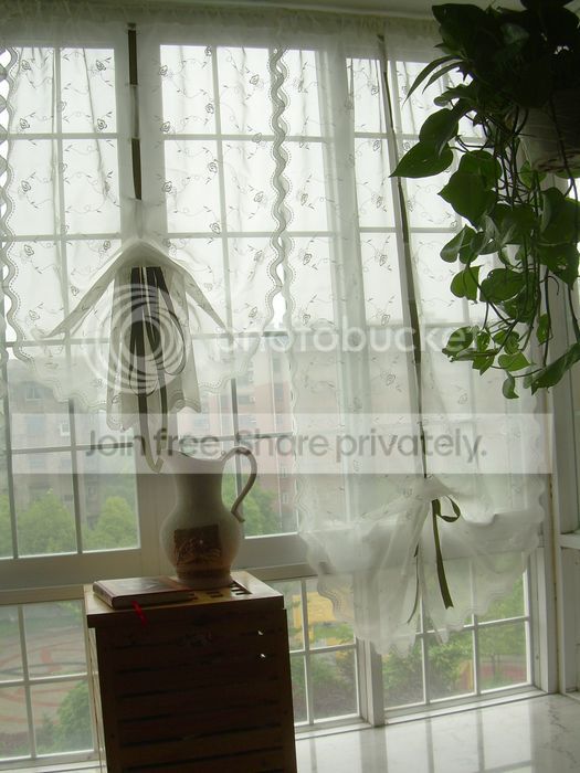  photo 15_zps21b91e74.jpg