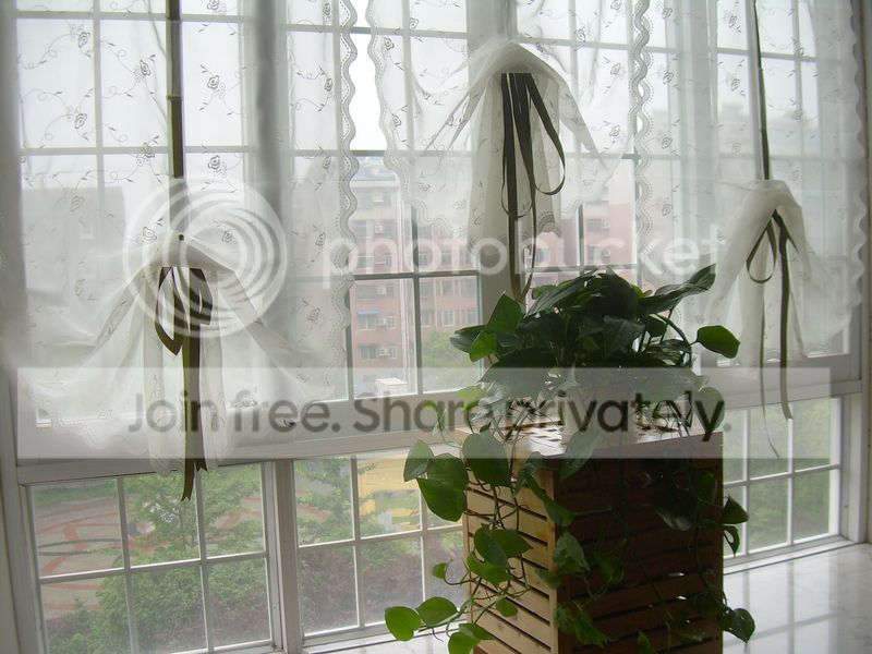  photo 2_zpsea03b0ea.jpg