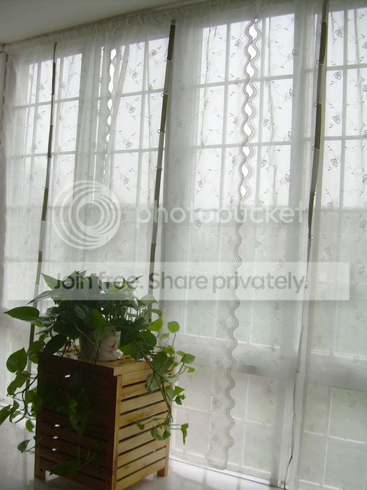  photo 3_zpse75418e1.jpg