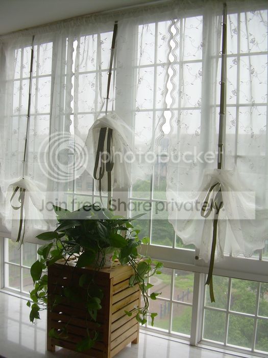  photo 4_zps079dc17a.jpg