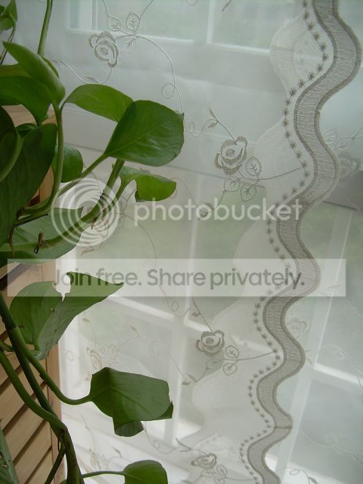  photo 5_zps19615fbc.jpg